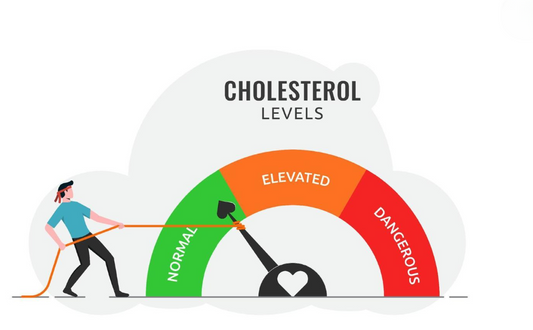 Cholesterol levels chart showing normal, elevated, and dangerous cholesterol ranges